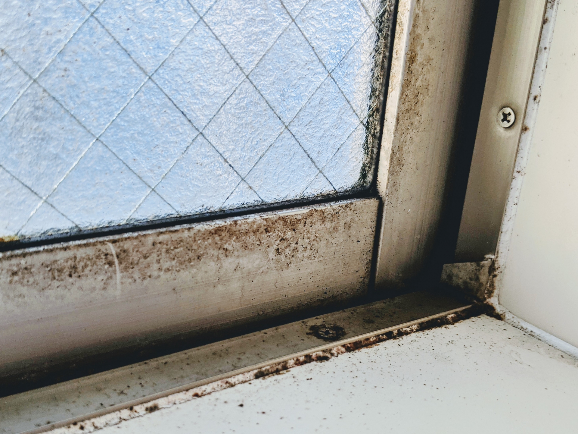 アルコールを使ったカビ対策｜効果や掃除のやり方を紹介