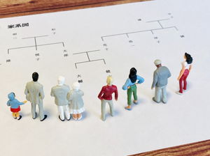 法定相続人とは？範囲や相続順位ごとの割合について詳しく解説